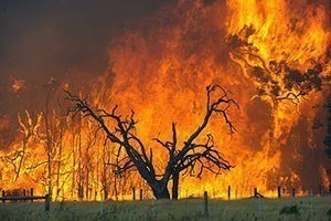 Australian bushfire danger and risks